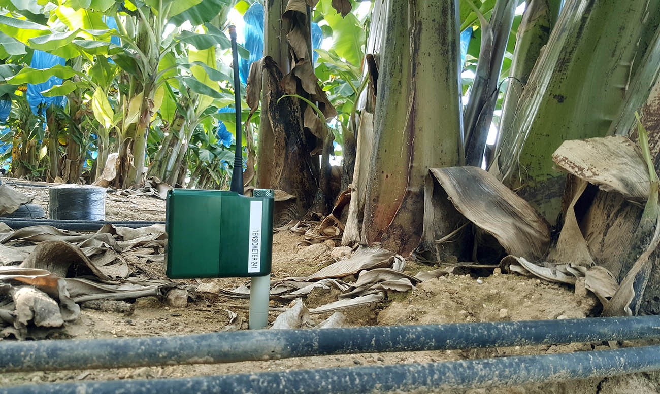 Tevatronic Autonomous Irrigation F6S