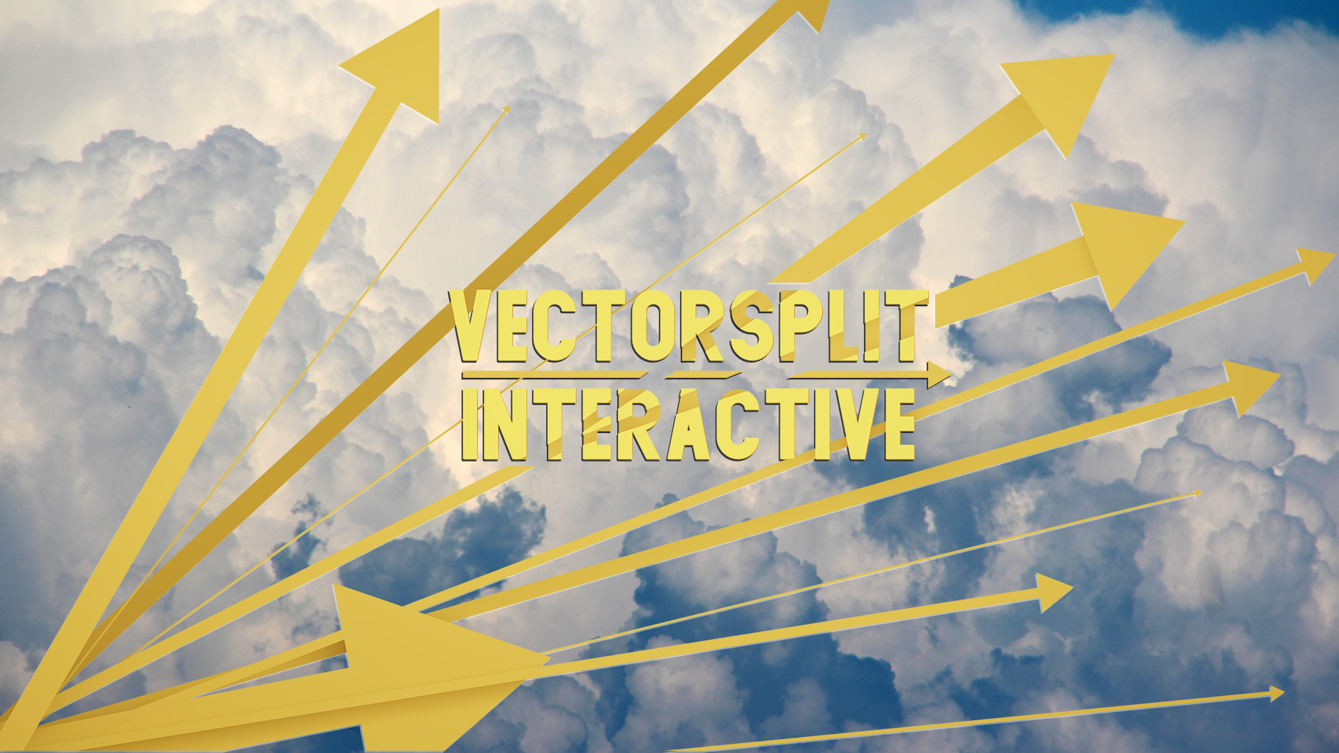 Vectorsplit Interactive | F6S