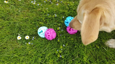 k9 connectables stockists