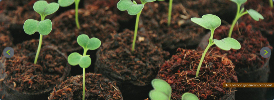 Aaascar Products-Microgreen Coir GrowMat | F6S